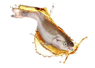 Yağlı taze balıklar beyaz arkaplanda sıçrıyor