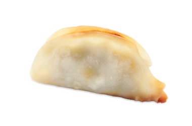 Bir kızarmış gyoza hamur tatlısı, beyaz üzerine izole edilmiş.