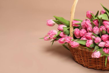 Hasır sepetin içinde bej arka planda güzel laleler, yakın plan. Metin için boşluk