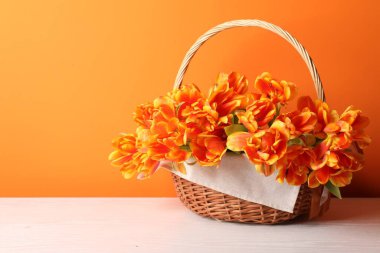 Hasır sepetteki güzel laleler beyaz ahşap masada turuncu arka planda. Metin için boşluk