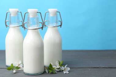 Taze süt ve çiçekler ahşap masada açık mavi arka planda. Metin için boşluk