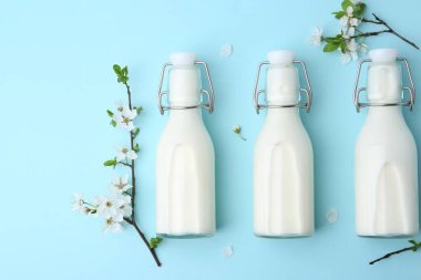 Açık mavi arka planda taze süt şişeleri ve çiçekler, düz uzanmış.