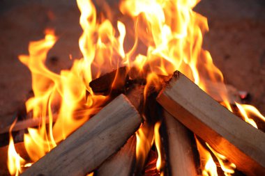 Sahilde yakacak odunları olan güzel şenlik ateşi, yakın plan.