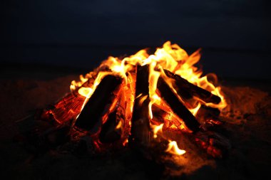 Güzel şenlik ateşi. Geceleri kumsalda yakacak odun var.