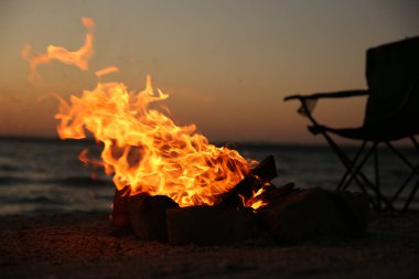 Akşamları yakacak odunları olan güzel şenlik ateşi.