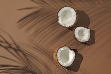 Taze hindistan cevizi ve bej arka planda tropikal palmiye gölgesi, düz yatış. Metin için boşluk