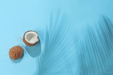 Açık mavi arka planda tropikal palmiye ağacından taze hindistan cevizi ve gölge, üst manzara. Metin için boşluk