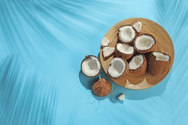 Taze hindistan cevizleri ve açık mavi arka planda tropikal palmiyelerin oluşturduğu gölgeler. Metin için boşluk