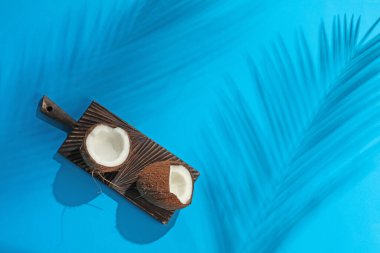 Açık mavi arka planda tropikal palmiye ağacından taze hindistan cevizi ve gölge, üst manzara. Metin için boşluk