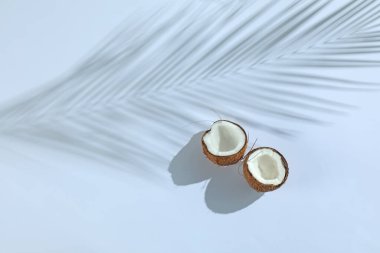 Taze hindistan cevizi ve açık gri arka planda tropikal palmiye gölgesi, üst manzara. Metin için boşluk