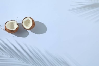 Taze hindistan cevizi ve açık gri arka planda tropikal palmiye gölgesi, üst manzara. Metin için boşluk