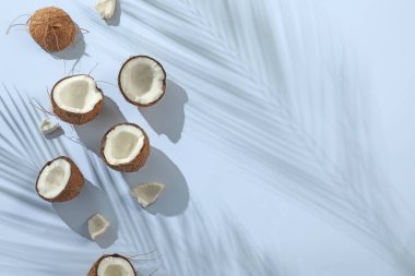 Taze hindistan cevizleri ve açık gri arka planda tropikal palmiyelerin oluşturduğu gölgeler düzleşir. Metin için boşluk