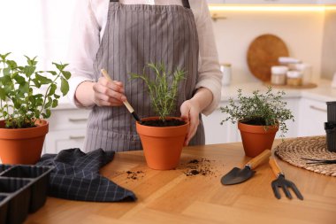 Mutfaktaki masaya bitki eken kadın, yakın plan.