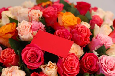 Boş kartla güzel güller, yakın plan.