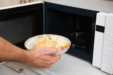 Yemek tabağını mikrodalgaya koyan adam, yakın plan.