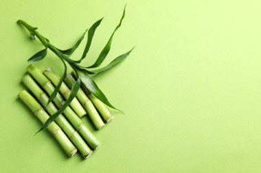 Açık yeşil arka planda bambu sapları ve yaprakları kes, düz uzan. Metin için boşluk