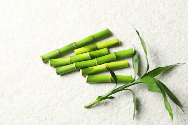 Bambu saplarını ve yapraklarını beyaz desenli masa üzerinde düz bir şekilde kes.