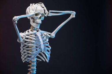 Koyu arkaplan üzerinde yapay insan iskelet modeli, metin için boşluk