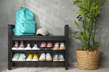 Ayakkabı bankı, farklı ayakkabılar, sırt çantası, kep ve ev bitkisi.