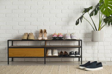 Ayakkabı deposu. Farklı ayakkabı ve ev bitkilerine sahip raf ünitesi.