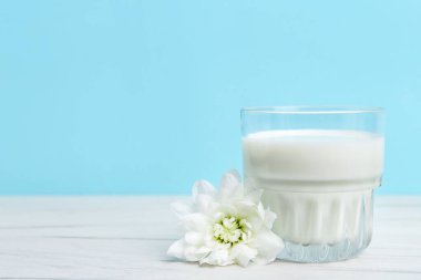 Açık mavi arka planda beyaz ahşap masada bir bardak taze süt ve çiçek. Metin için boşluk