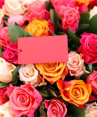 Boş kartla güzel güller, yakın plan.