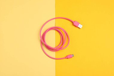 Renk arkaplanında bir USB şarj kablosu, üst görünüm
