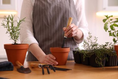 Mutfaktaki masaya bitki eken kadın, yakın plan.