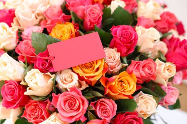 Boş kartla güzel güller, yakın plan.