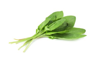 Taze yeşil kuş yaprakları beyaz üzerinde izole.