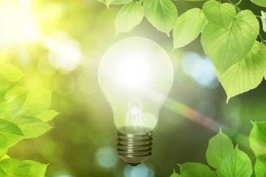 Parlak güneş ışığı altında parlayan ampul ve yemyeşil yapraklar. Çevre dostu enerji