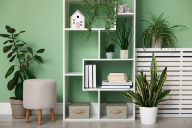 Ev bitkileri ve açık yeşil duvarın yanında farklı dekorasyon ürünleri olan raf ünitesi.