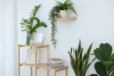 Farklı ev bitkileri ve dekorları olan raf ünitesi.