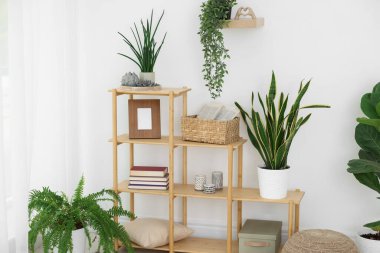 Farklı ev bitkileri ve dekorları olan raf ünitesi.