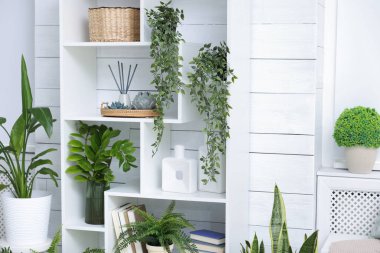 Evde farklı yeşil desenlere sahip raf ünitesi.