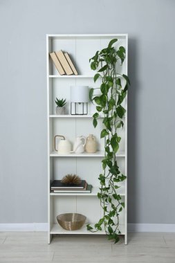 Ev bitkileri ve gri duvarın yanındaki diğer dekorları rafa kaldırıyorum.