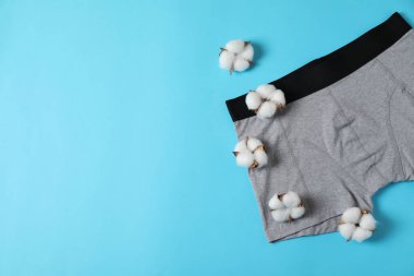 Rahat gri erkek iç çamaşırları ve açık mavi arka planda pamuk çiçekleri. Metin için boşluk