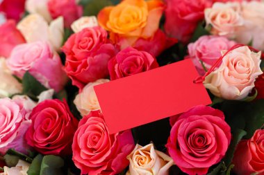 Boş kartla güzel güller, yakın plan.