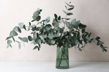 Açık gri duvarın yanındaki masada vazoda güzel okaliptüs dalları var.