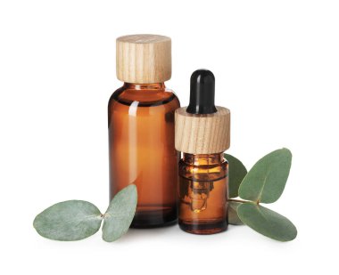 Beyaz üzerine izole edilmiş yağ ve okaliptüs yaprakları şişeleri.