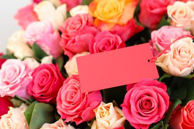 Boş kartla güzel güller, yakın plan.