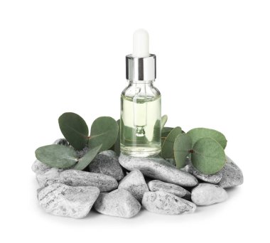 Bir şişe temel yağ, okaliptüs yaprakları ve beyaz üzerine izole edilmiş taşlar.