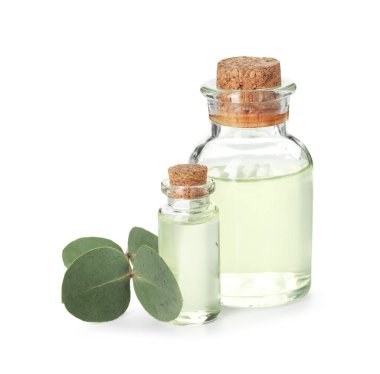 Beyaz üzerine izole edilmiş yağ ve okaliptüs yaprakları şişeleri.