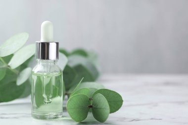 Gerekli yağ ve okaliptüs yaprakları beyaz mermer masanın üzerinde, yakın plan. Metin için boşluk