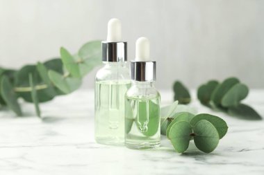 Beyaz mermer masa üzerinde gerekli yağ ve okaliptüs yaprakları.