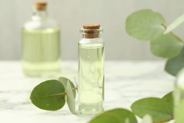 Gerekli yağ ve okaliptüs yaprakları beyaz mermer masanın üzerinde, yakın plan.