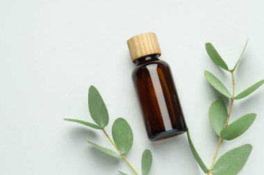 Beyaz arka planda gerekli yağ ve okaliptüs yaprakları var. Metin için boşluk