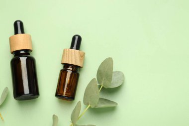 Yeşil arka planda gerekli yağ ve okaliptüs yaprakları var. Metin için boşluk