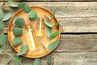 Kaliteli yağ ve okaliptüs yaprakları ahşap masada, düz yerde. Metin için boşluk