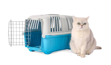 Sevimli kedi ve evcil hayvan taşıyıcısı beyaz üzerinde izole edilmiş.